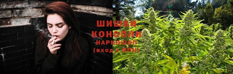 Марихуана OG Kush  где можно купить   Воскресенск 